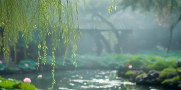 逆水寒的手游叫什么呢？