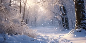暖雪手游会降价吗？